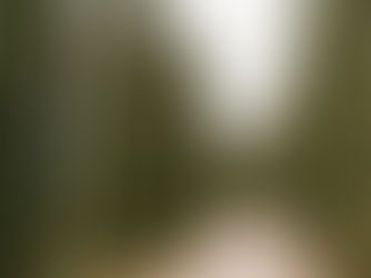 How to Turn Your Mistakes into Stepping Stones