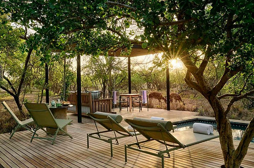 Option 2 for South Africa Paragraph (Waterside Lodge).jpg
