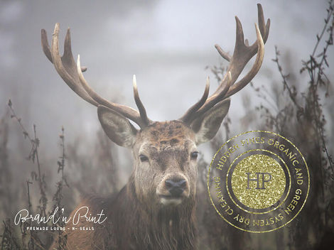 Pre-Made Trendy Gold Foil Seal And Hipster'esque Badge