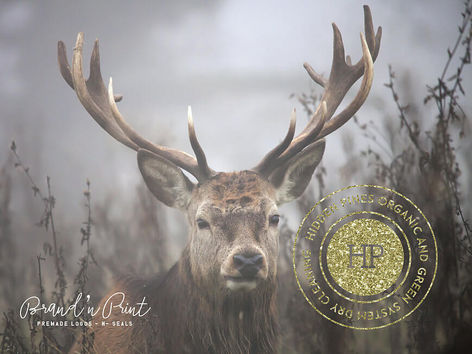 Pre-Made Trendy Gold Foil Seal And Hipster'esque Badge
