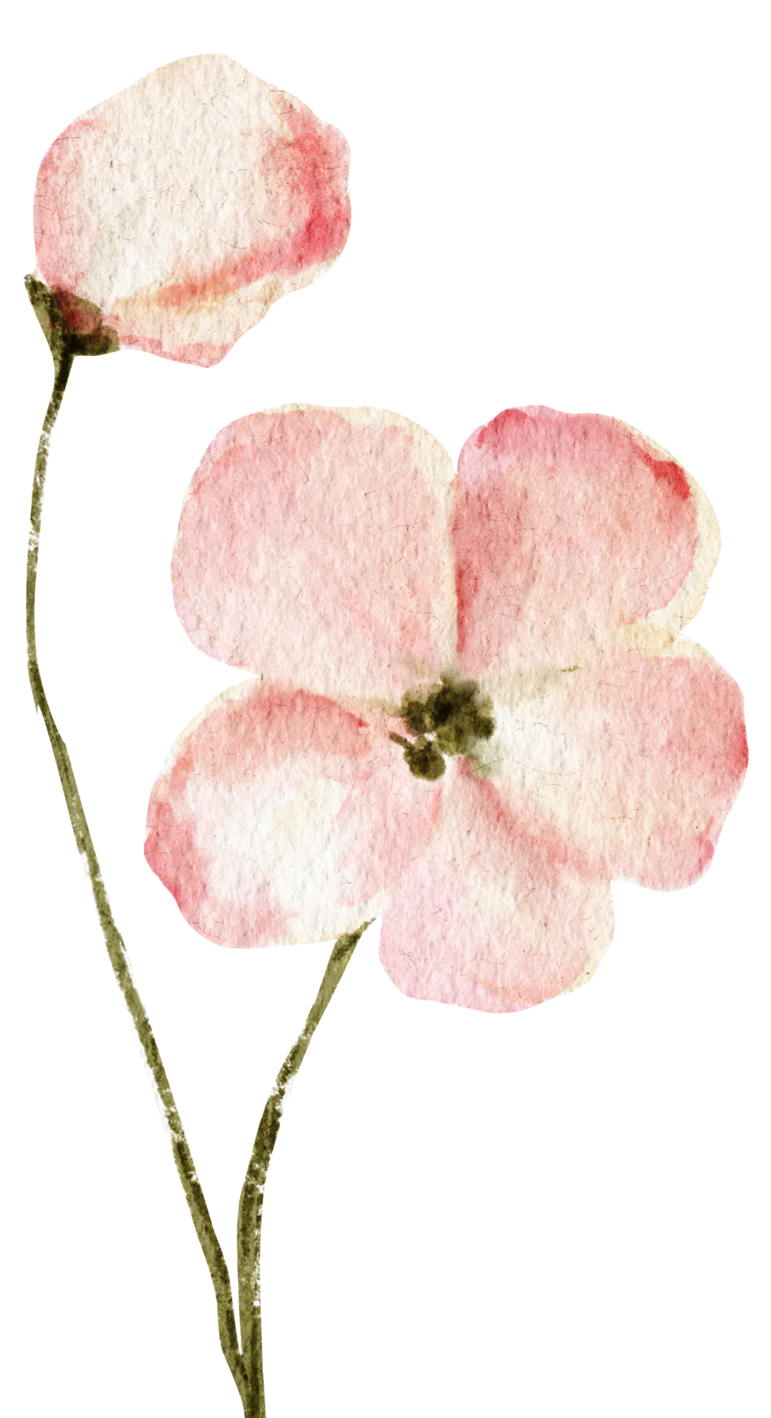 White and Peach Simple Treatment Spa Banner_edited.png
