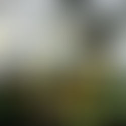 Gran Cierre de Temporada de la Big Band Jazz de México en el Lunario