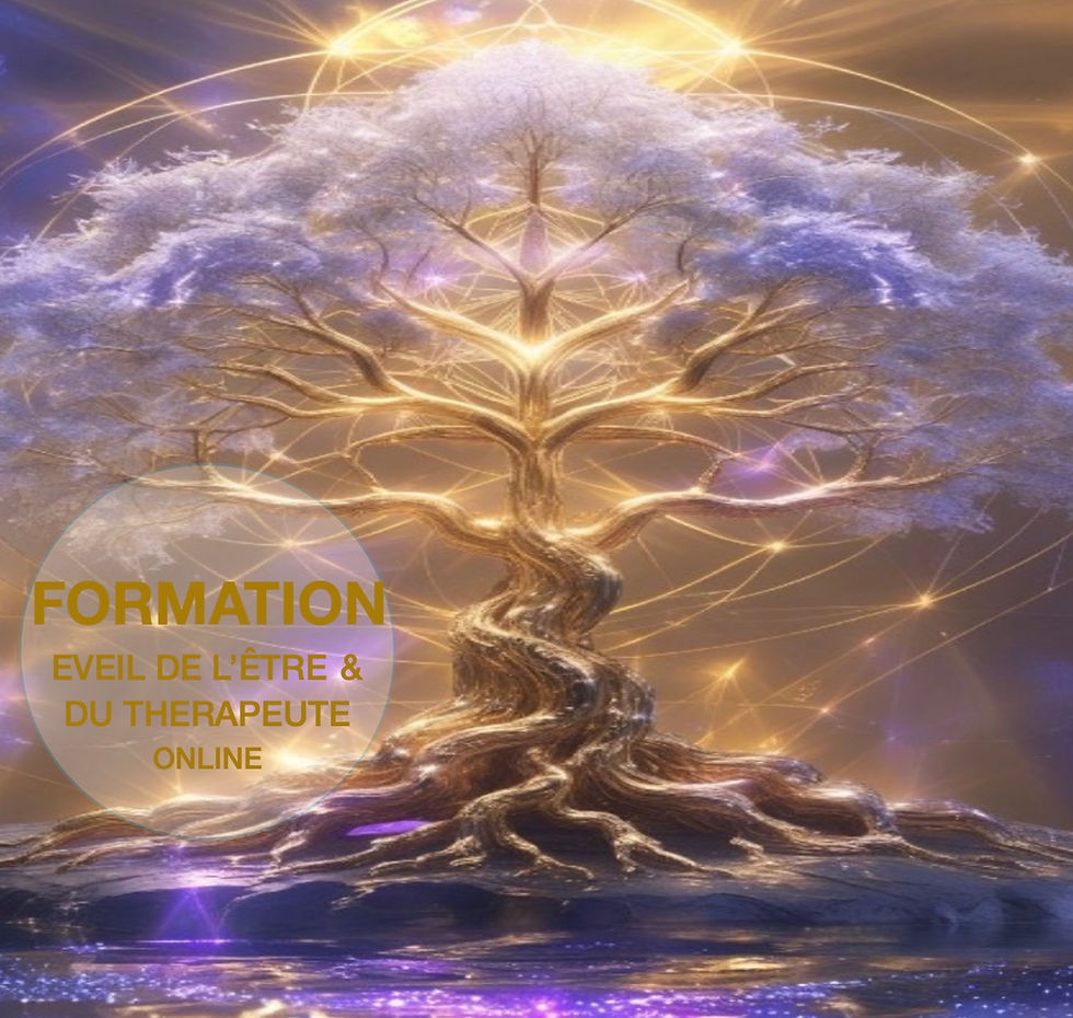 FORMATION EVEIL DE L’ETRE & DU THERAPEUTE