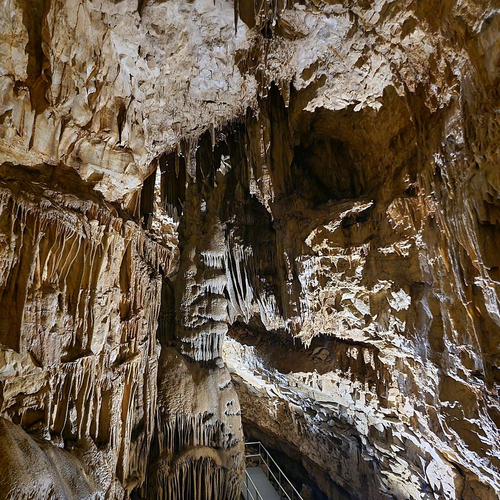 Mammoth Cave National park