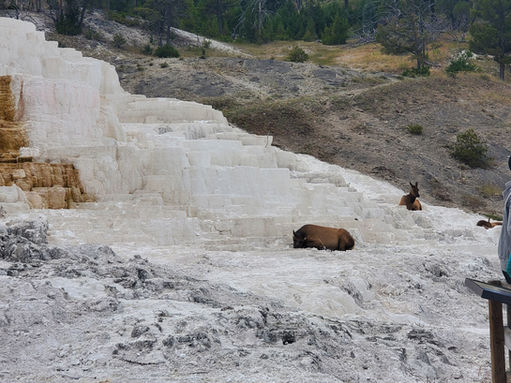 20200728_141700[1].jpg