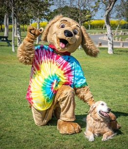 Chance_Dog.jpeg