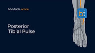Posterior Tibial Pulse in Vascular Exams: Technique & Findings