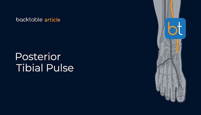 Posterior Tibial Pulse in Vascular Exams: Technique & Findings