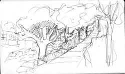 IMG_0002 (3)