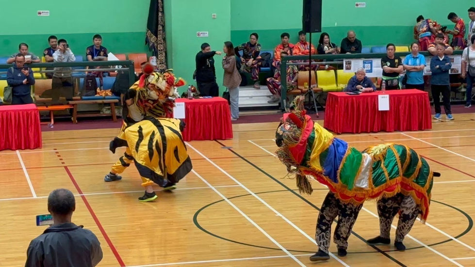 義虎團虎頭與忠義堂獅頭,獅虎表演