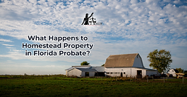 What Happens to Homestead Property in Florida Probate?