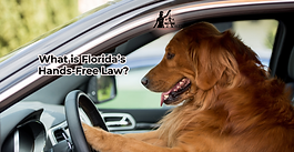 Florida Hands-Free Law: How Distracted Driving Can Impact Your Accident Claim