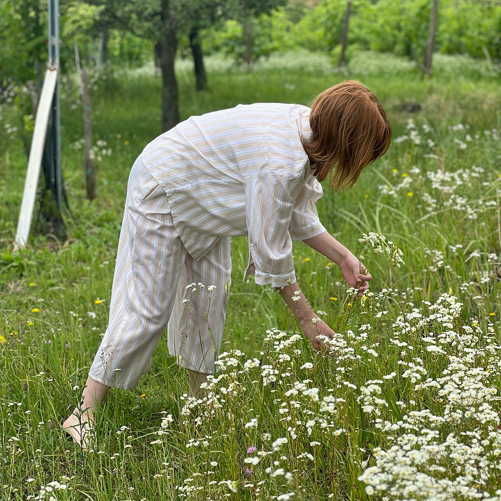 Thumbnail: Postava v pyžamu trhá květiny