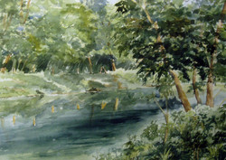The Quiet Lagan
