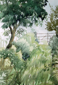 The Overgrown Loney