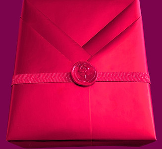 POSH e red kimono with wax seal_edited.j