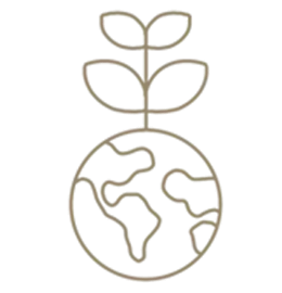 non-toxic-raw-material-imosel-ecoprojects.webp