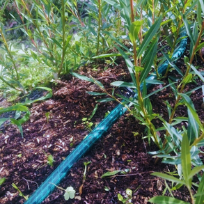 Bioeconomy in action: where sustainability meets innovation.