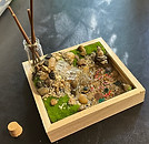 IMG-8479.jpg