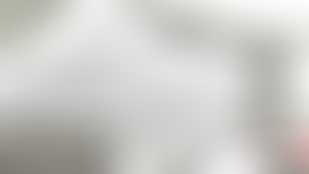 Documentos provenientes de la Función Pública quedarán en cuarentena