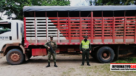 Incautados 37 cabezas de ganado en vías del departamento del Caquetá