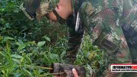 Ejército Nacional sembró más de mil árboles en el parque nacional la Paya