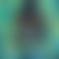 Root Magic: A Magical Story of Family, Friendship, and Gullah Geechee Culture