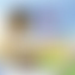 I Have a Dream: 25+ Children's Books to Celebrate Dr. Martin Luther King, Jr. Day