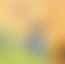 28 Amazing Picture Book Biographies by Black Authors to Celebrate Black History All Year Long