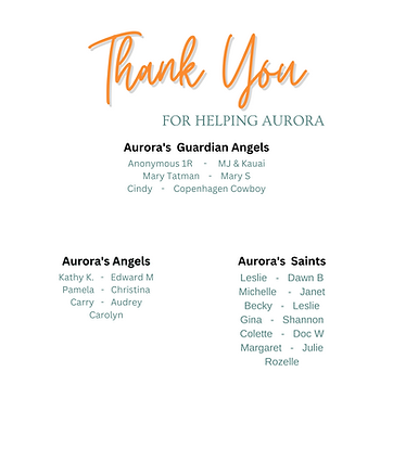 Copy of Copy of Thank You Flyer.png