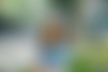 I Had to Fire Myself