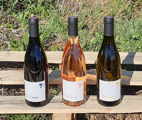 Capture d’écran 2025-05-12 200609.png