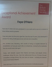 British Horse Society Award
