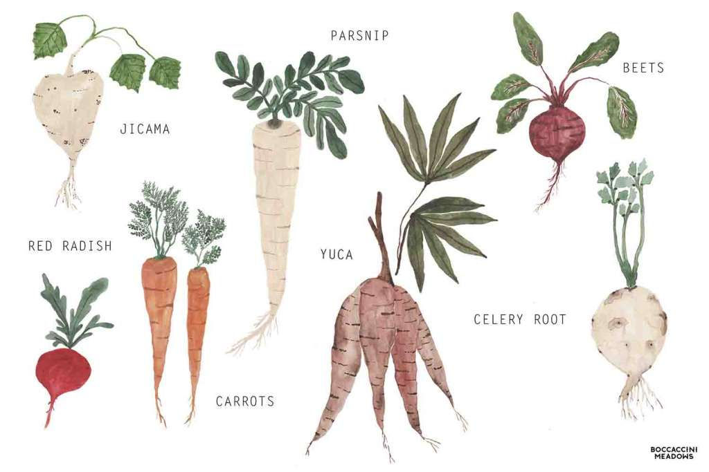 Root Produce case