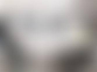 Understanding the Users