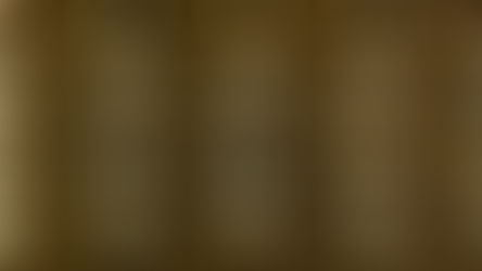 Assessing and planning for successful legacy system replacements