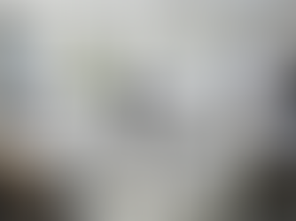 Mastering Online GDS Compliance Assessment: Your Online GDS Compliance Guide