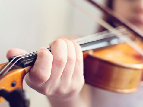 Pelican Chamber Music Concert
