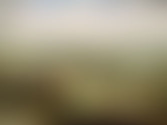 La guerra dei trent'anni