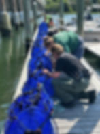 2025 Save our River Symposium