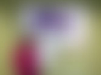 BRADFORD BID TO BACK NO MORE WEEK CAMPAIGN TO ENCOURAGE MORE BUSINESSES TO STAND UP TO DOMESTIC ABUSE