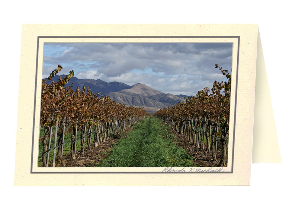 Thumbnail: GV-30 Vineyard