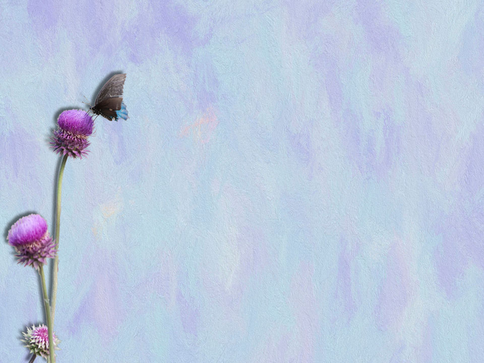 Thumbnail: Thistle and Butterfly Backgrounds