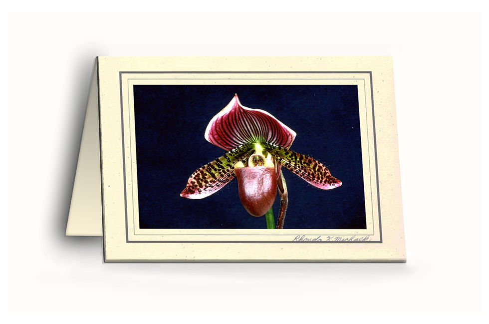 Thumbnail: FO-3 Orchid