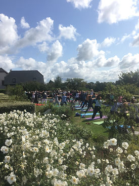 Communoty Yoga - 25082018.jpeg