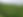 cover crops