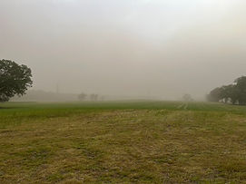 Lappin 1.jpg