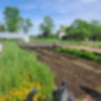 SCRAP Small Farm Tour