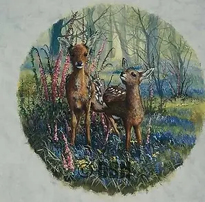15 Deer on Cannock Chase 1.webp