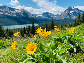 Glacier National Park 